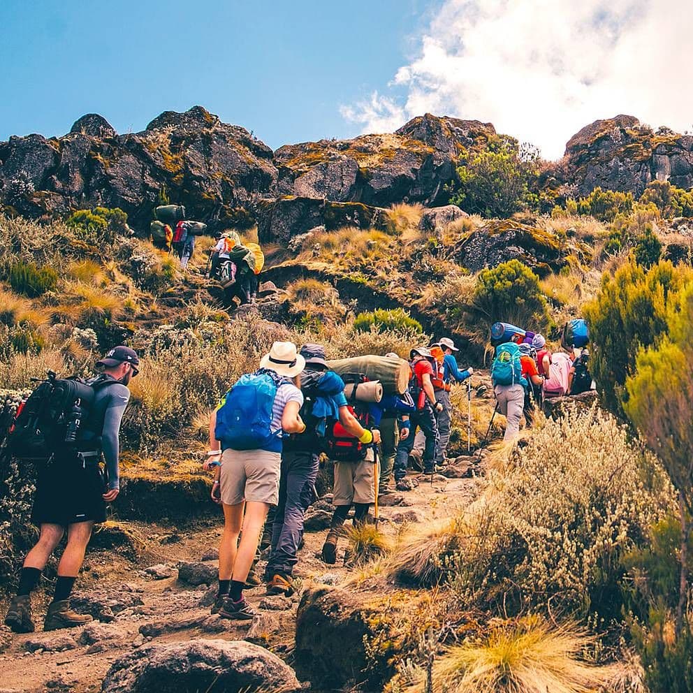 Kilimanjaro Trek