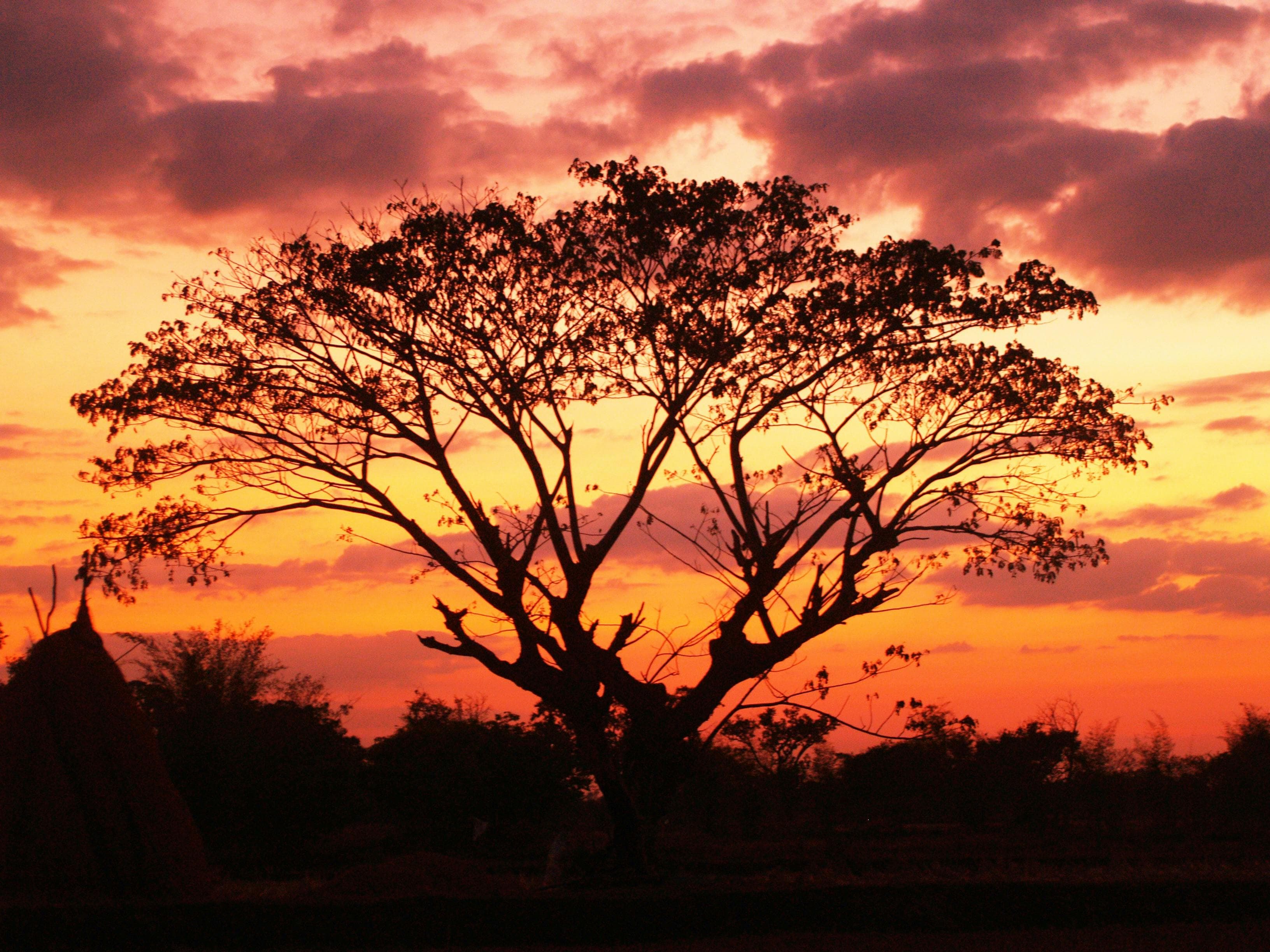 African sunset