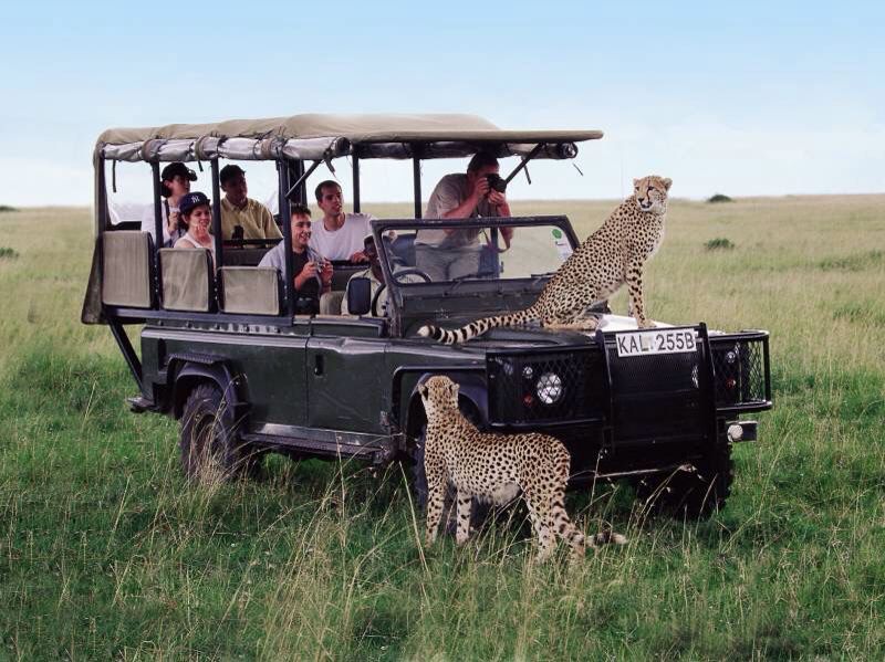 3 Days Serengeti Safari