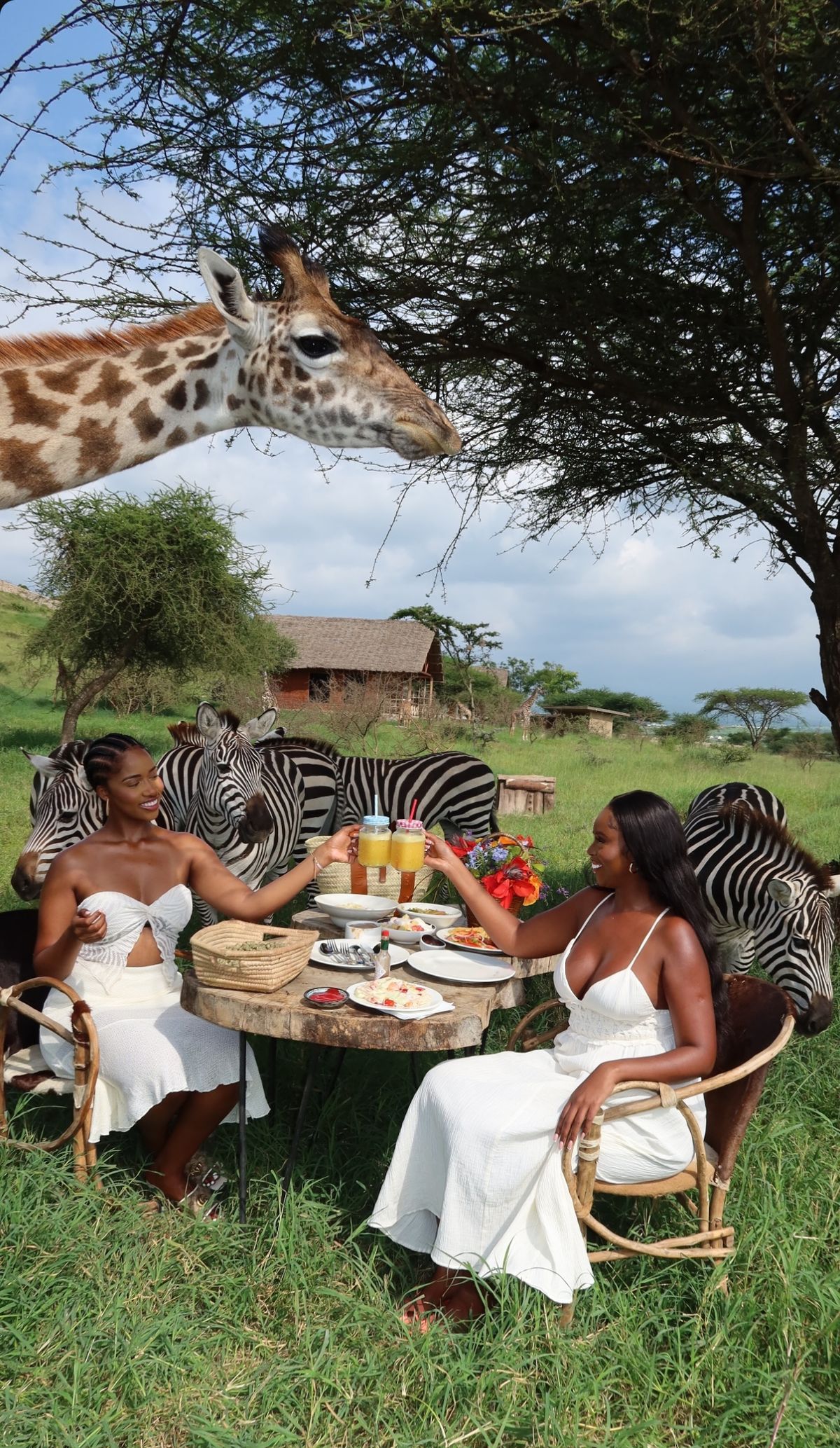 Wildlife & Breakfast Safari